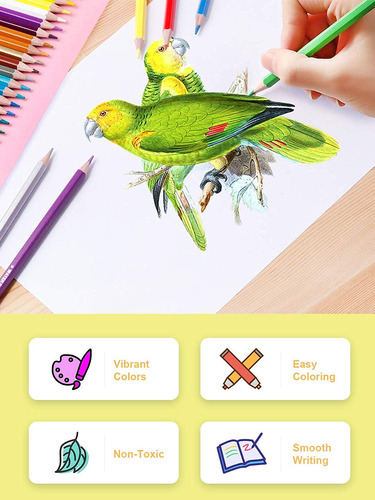 Paquete De 36 Lápices De Colores Con Sacapuntas Color Del Trazo