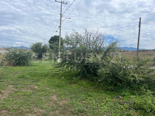 Imagen 5 de 8 de Terreno En Venta En Atlatahuan, Morelos