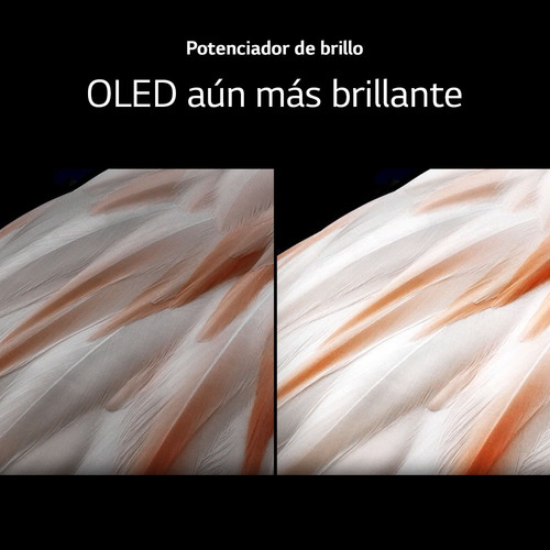 Smart Tv LG 65 Pulgadas C3 Oled 4k Uhd Oled65c3psa Thinq Ai