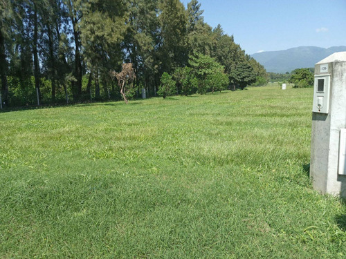 Imagen 6 de 7 de Terreno En Venta En Country Praderas Del Nogal