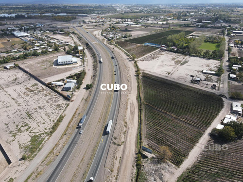 Cubo Vende 12 Hectareas De Viñedo En Rodeo De La Cruz Mendoza Argentina