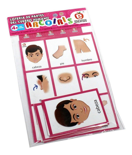 Lotería Arcoíris Partes Del Cuerpo Humano, Educatodo, M-0323