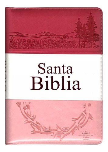 Santa Biblia + Estuche + Cierre - Tapa Rosa Bermejo