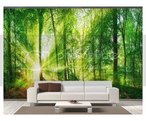 Papel de parede : luz solar, Árvores, panorama, floresta, noite