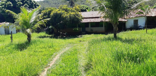 Imagem 1 de 15 de Fazenda Para Venda Em Monjolos, Quebra Pé, 4 Dormitórios, 1 Banheiro - F16_1-1713401