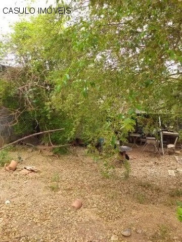 Imagem 5 de 5 de Terreno - Venda - Vila Esperança - Cod. 2608 - V2608