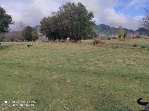 Parcela En Venta | 5.000 M² | Riñinahue - Lago Ranco