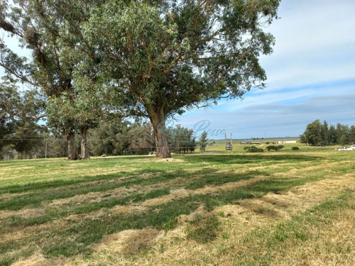 Imagen 10 de 14 de Venta De Lote En El Quijote - La Barra El Quijote