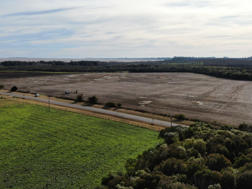 Imagen 7 de 10 de Campo En Venta Sobre Ruta Y Arroyo Navegable