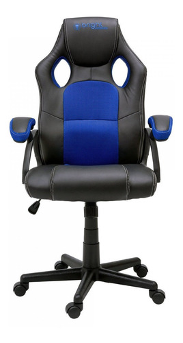 Cadeira Gamer Preto E Azul Regulagem Reclinável Amortecida
