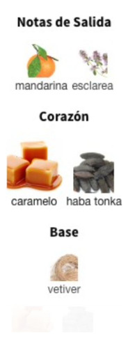 Perfume Extracto Importado N175 100ml (eskan-dall)