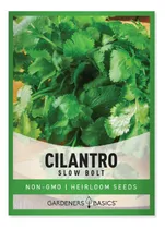 Comprar Semillas De Cilantro Para Plantar Hierbas Sin Omg Semillas D