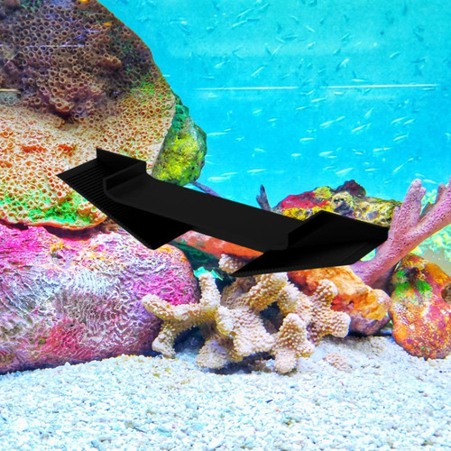 Túnel Subterráneo Del Acuario Túnel Túnel Negro S