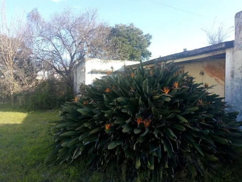 Imagen 4 de 4 de Venta De 2 Lotes En Conjunto - Castelar Norte