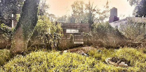 Terreno En Reserva Forestal Zona Alfar Id 25801