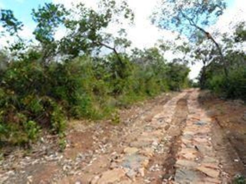 Imagem 10 de 25 de Terreno À Venda, 1000 M² Por R$ 80.000 - Chapada Diamantina - Andaraí/ba - Te0009