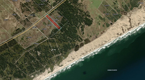 Venta Terreno10 Ha Sobre Ruta 10 En Oceanía Del Polonio, Rocha