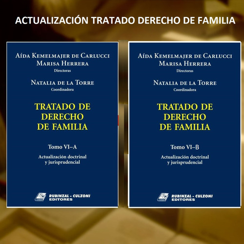 Tratado De Derecho De Familia Vl A Y Vl B- Kemelmajer