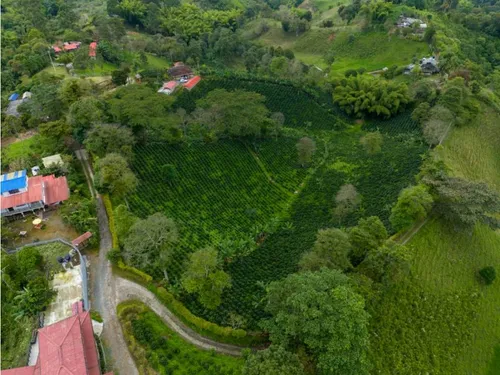 En Venta Finca Cafetera Certificada En Filandia Quindio