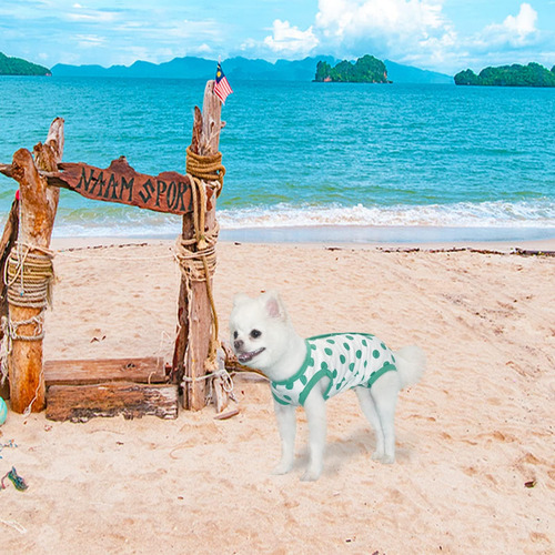 Tony Hoby Summer Dog Jumpsuit, Suave Pijama De Perros Transp