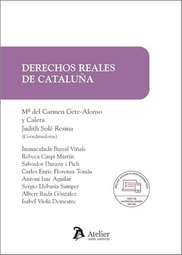 Derechos Reales De Cataluña (sin Coleccion) / Judith Solé Re