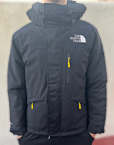Campera The North Face 550 Windwall