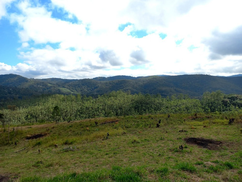 Imagem 1 de 3 de Terrenos/lotes Localizados Em Mairiporã