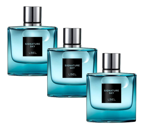 3 Perfumes Signature Sky Lbel - mL a $697