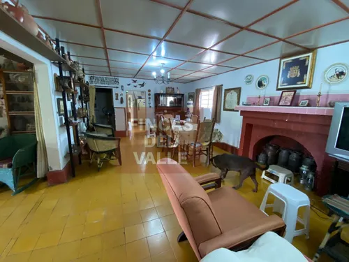 Felidia, 4.093 M2, Finca Campestre.