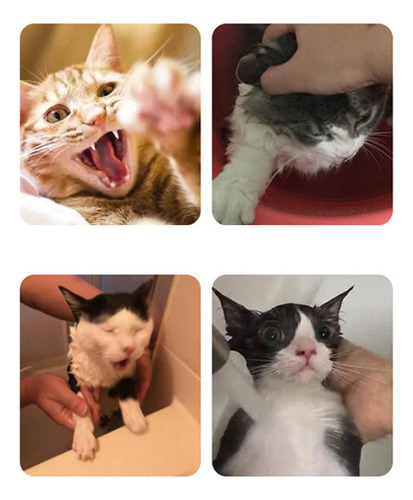 Cat Pet Grooming Correa De Baño Durable Para Lavar Y S