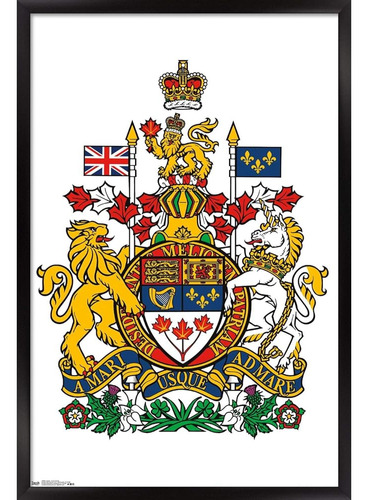 Trends International Canada - Póster De Pared Del Escudo De 