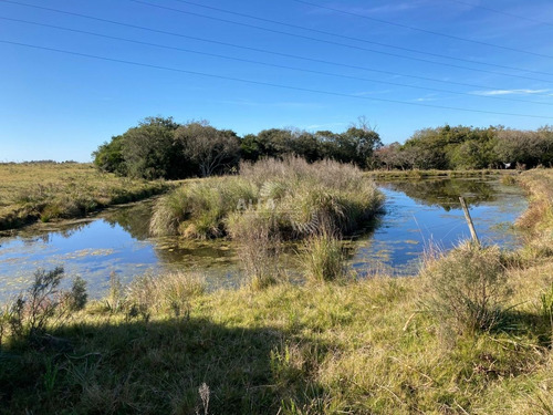 Imagen 2 de 10 de Chacra En Venta Con Casa,ruta 12 - Maldonado Ruta 9