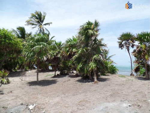 Terreno En Venta En Playa Xcalak