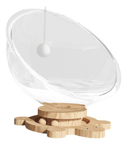 Cama Para Gatos En Cápsula Transparente, Cama Para L