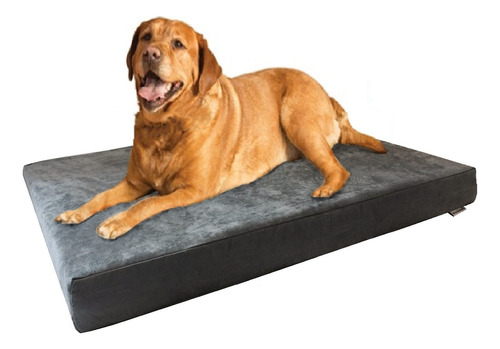 Cama Para Perros Hecha De Espuma Inteligente, Resistente Al