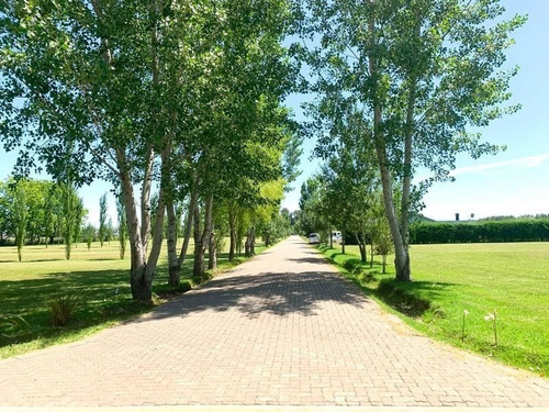 Barrio Privado Seguridad Últimos Terrenos Gigantes! 1925m, 1600m 814m Bajas Expensas Lote Cerrado Lomas De Petion (casi Cañuelas) 300m Autopista - Escritura Inmediata - A 35 Minutos Obelisco Country