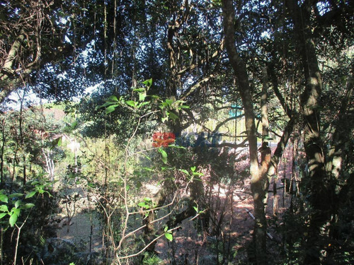 Imagem 3 de 7 de Terreno Residencial À Venda, Vila De São Fernando, Cotia - Te0891. - Te0891
