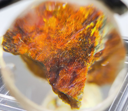Mineral Raro Telurio Eztlita Localidad Tipo Mina Moctezuma#2