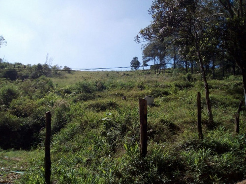 Imagem 12 de 12 de Terreno - Te-27 - 32142525