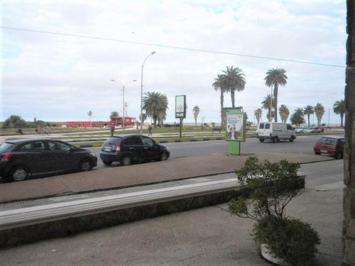 Local Comercial En La Rambla De Pocitos Con Renta