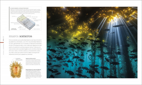 Tierra. Los Secretos De Nuestro Planeta, De Packham, Chris., Vol. 1. Editorial Dorling Kindersley, Tapa Pasta Dura, Edición 1 En Español, 2023