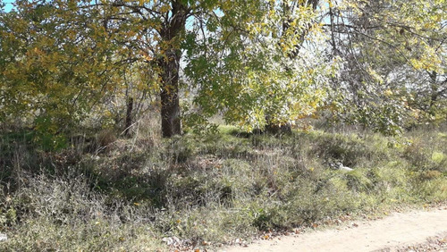 Imagen 5 de 13 de Excelente Lote 500 Mts Venta Mariano Acosta Merlo