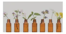 Comprar Rescue Remedy -  Remedio Rescate  - Flores De Bach -30ml
