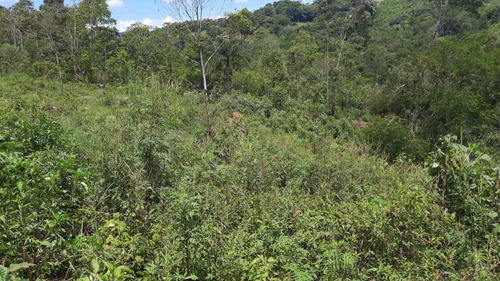 (k.a) Corra Antes Que Acabe - 1.000m2 Confira Lotes Fechados