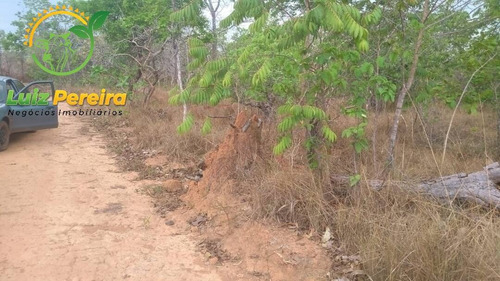 Imagem 4 de 15 de Fazenda À Venda Em São Valério -to - 1.026 Hec (excelente Para Agricultura) - 1520