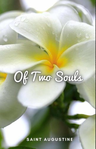 Of Two Souls, De Saint Augustine