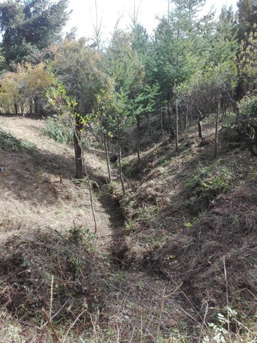Terreno - Las Golondrinas
