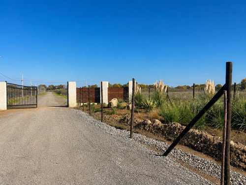 Parcela 5000m2 En Proyecto Los Avellanos, Zapallar, Curicó