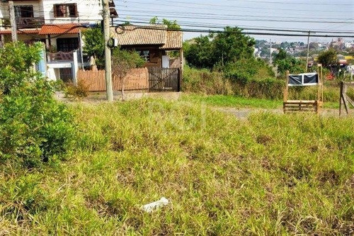 Imagem 5 de 11 de Terreno - Jardim Leopoldina - Ref: 590803 - V-ca5192