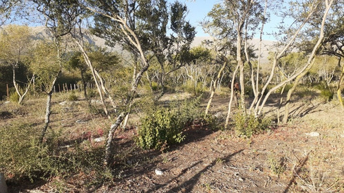 Imagen 2 de 5 de Lotes En Venta A Una Cuadra De Avenida Del Sol, Merlo.